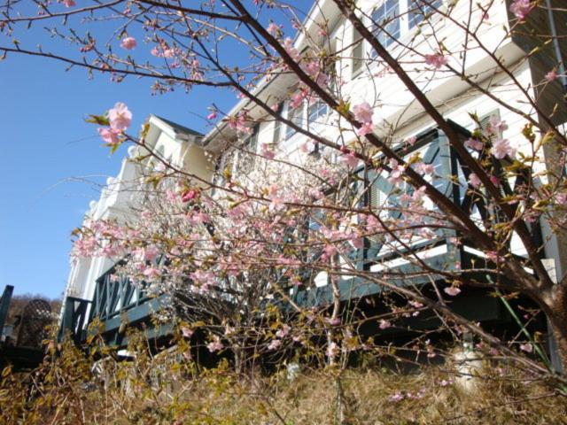 Liberty Hill Hotel Ито Екстериор снимка
